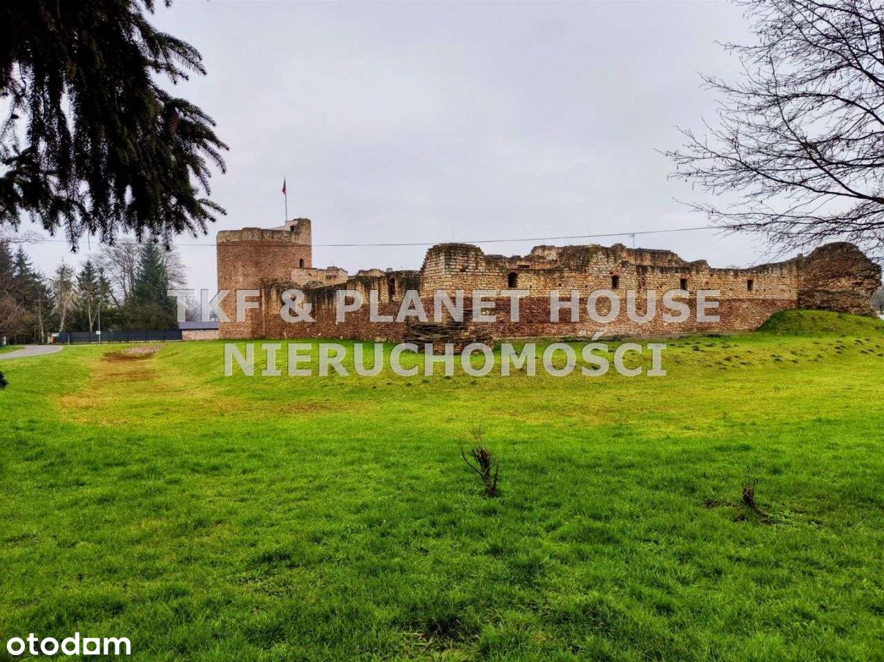 Zakościele Działka 3043 m2 blisko rzeki Pilicy - Pełny obrazek: 5/6