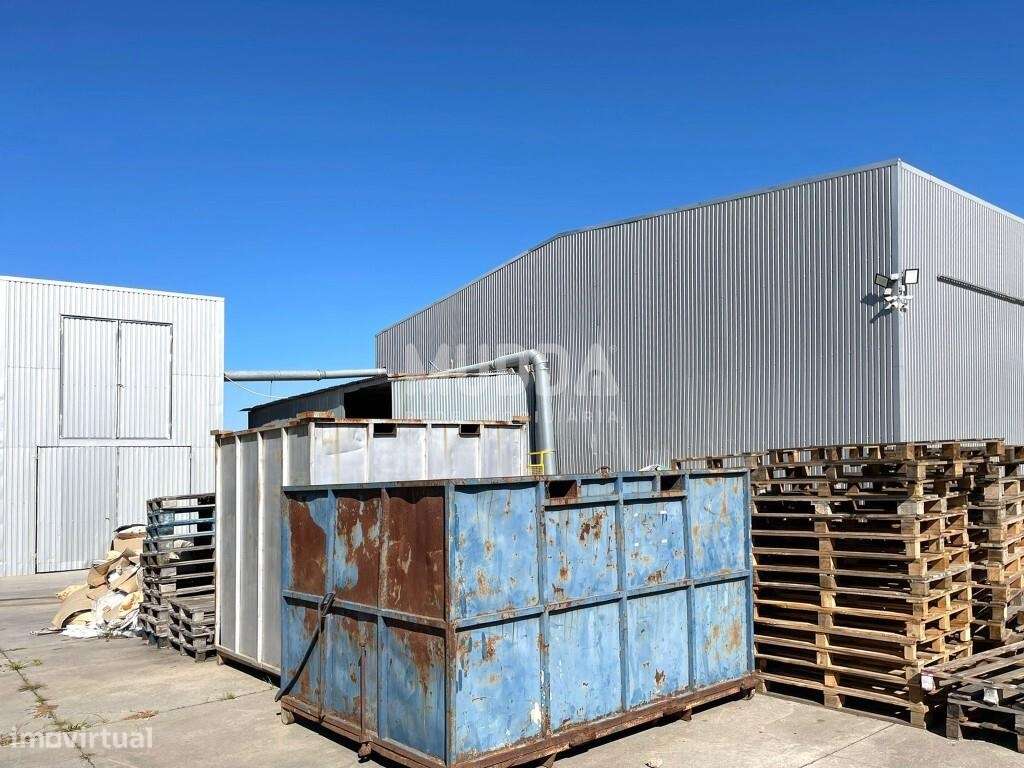 ARMAZÉM INDUSTRIAL LOUROSA - Grande imagem: 5/6