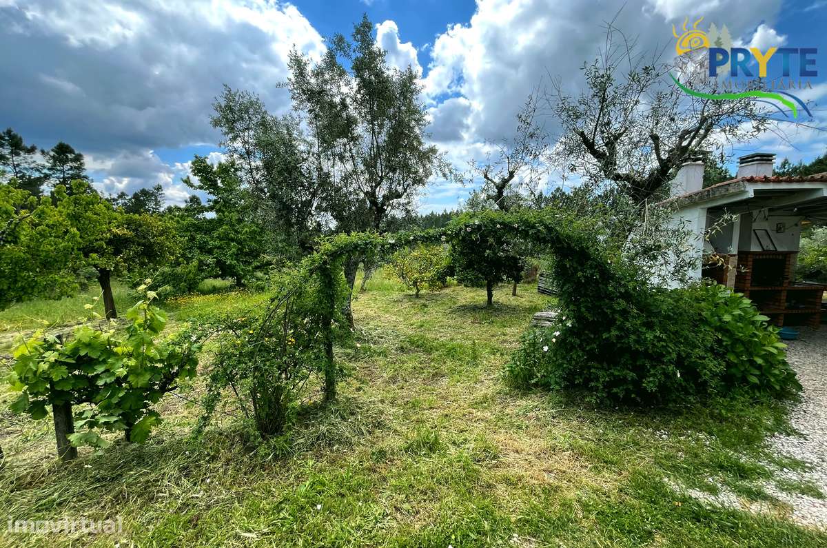Quinta com 2 hectares de área total-sinónimo de privacidade e sossego-30