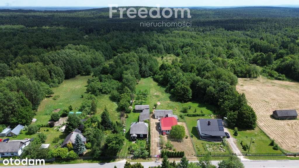 Domek jednorodzinny, Borki, powiat szydłowiecki - Pełny obrazek: 4/20