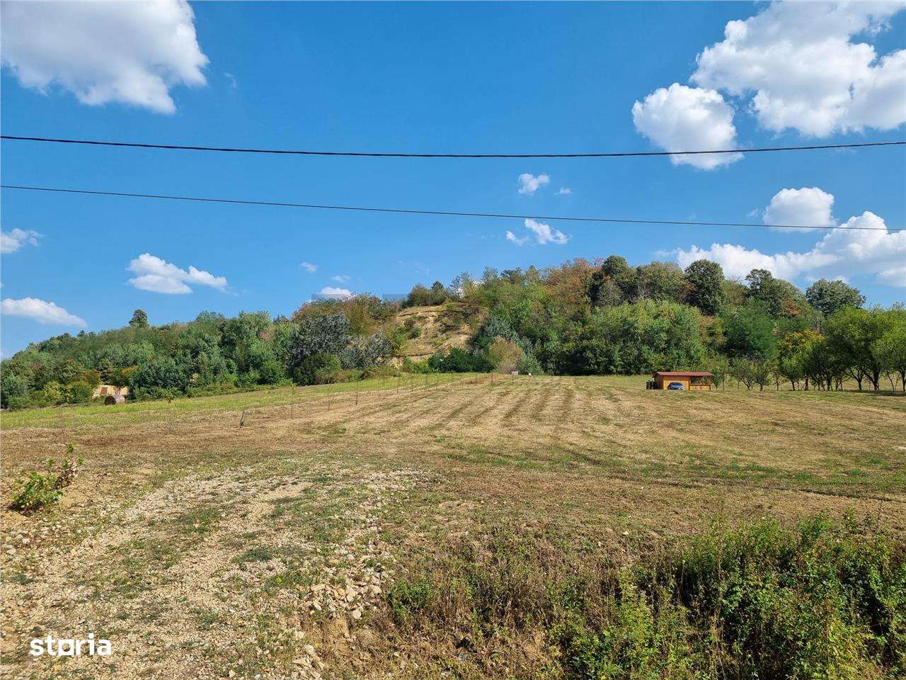 RECO Teren 8262 mp , Tileagd - Imagine principală: 2/7