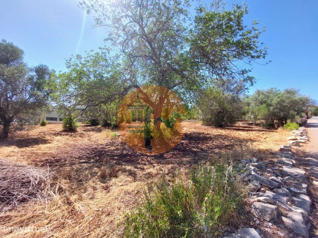 Terreno Urbano para Construção em São Brás de Alportel - Zona dos M... - Grande imagem: 2/17