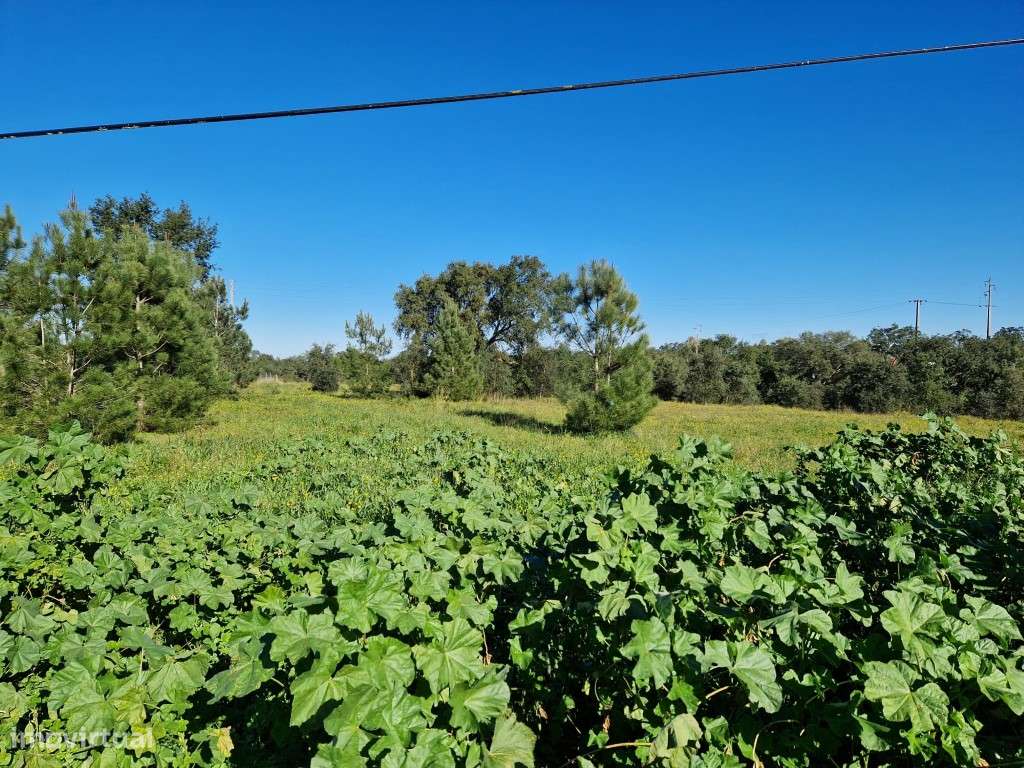 Terreno Paderias - Grande imagem: 2/8