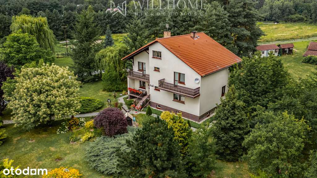 Dom pod lasem z ogromną działką-18