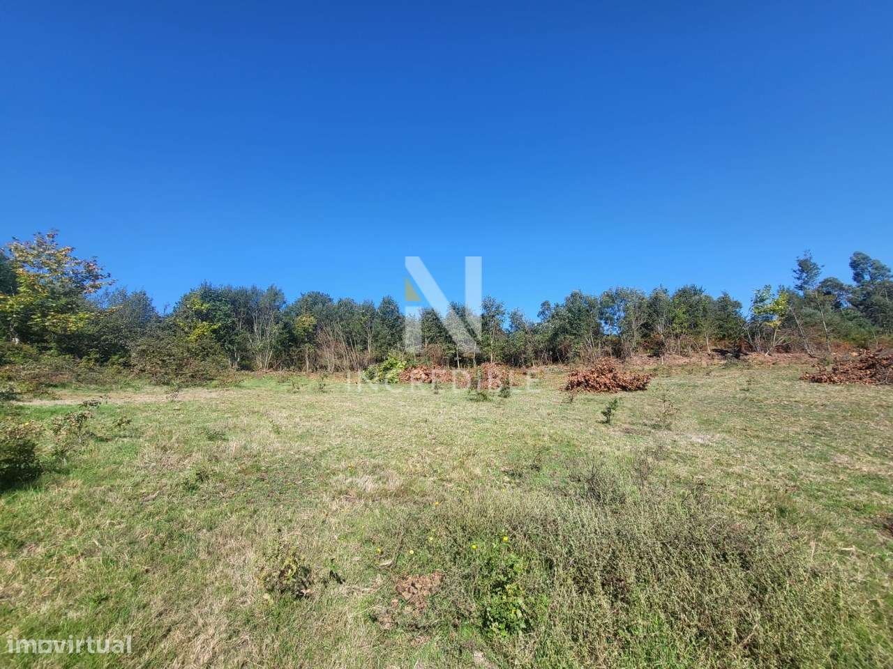 Terreno  Venda em Bucos,Cabeceiras de Basto-4