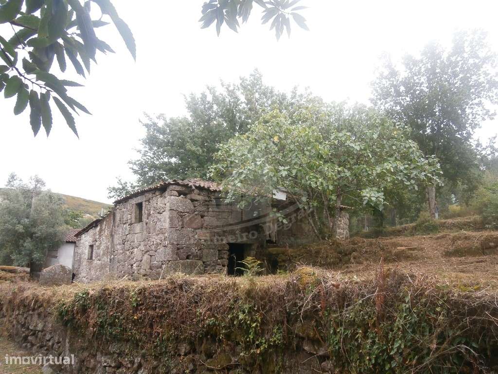 Quintinha com 4.647 m² e Duas Casas para Restaurar em Friande - Grande imagem: 5/20