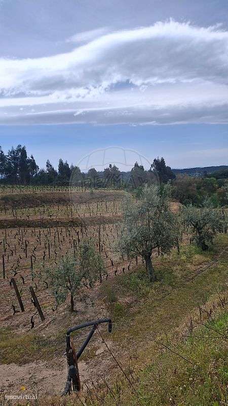 Terreno  para venda - Grande imagem: 5/14