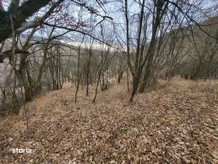 Teren de vanzare intravilan, 10 000 Mp , Sighisoara - Imagine principală: 4/10