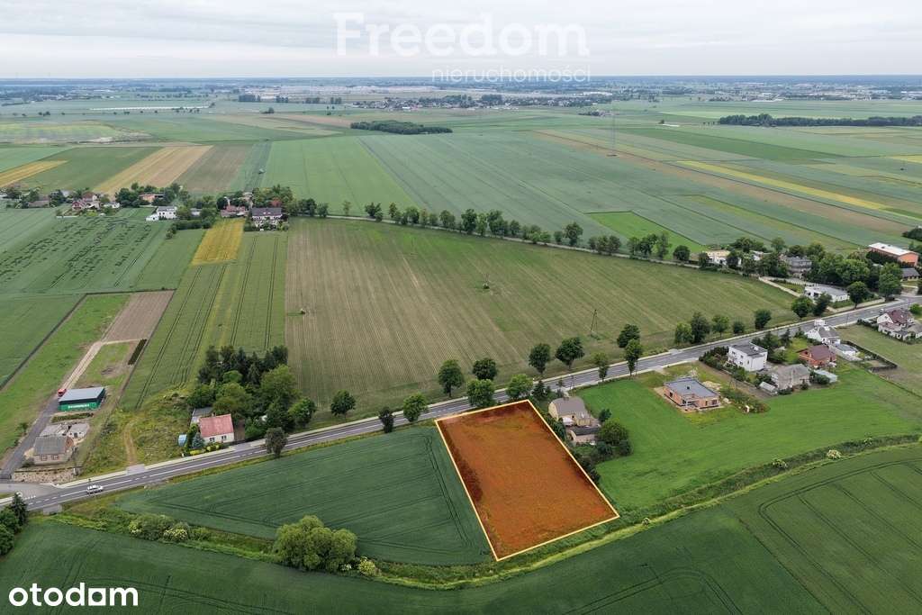 Działka  Września - Pełny obrazek: 3/7