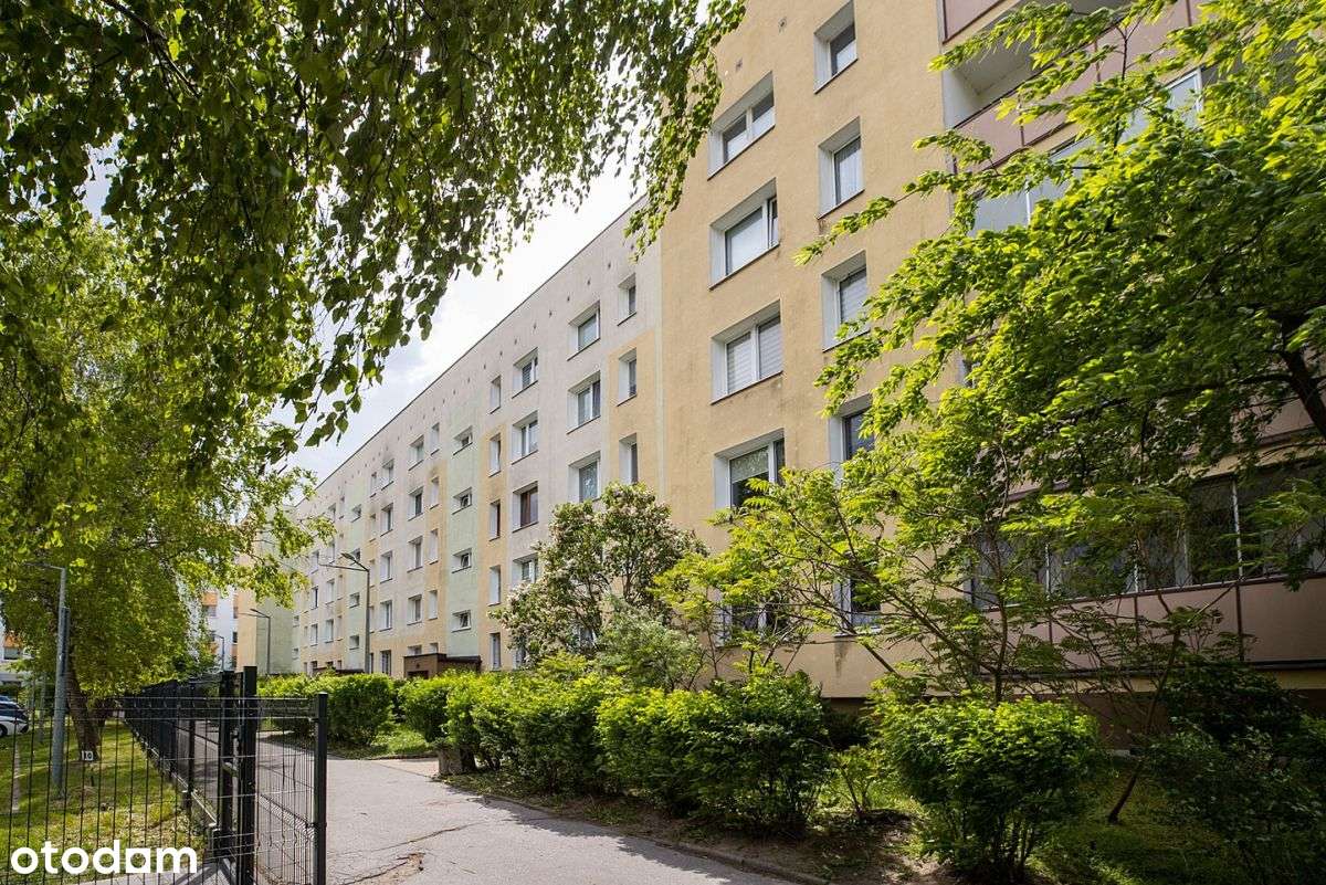 Gotowe do wejścia ! - Pełny obrazek: 2/15