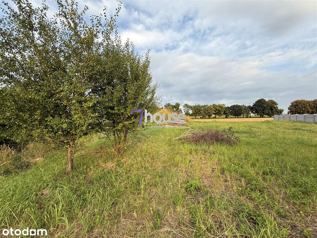 Działka budowlana-usługowa Ożarowice-13