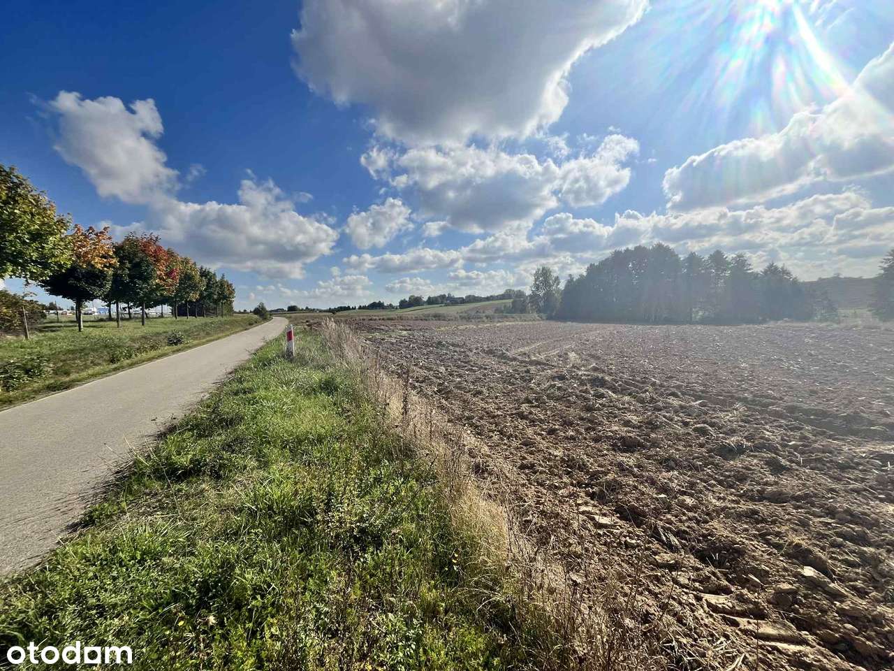 Działka rolna  – Panieńszczyzna, gm. Jastków- 12 850 m²-10