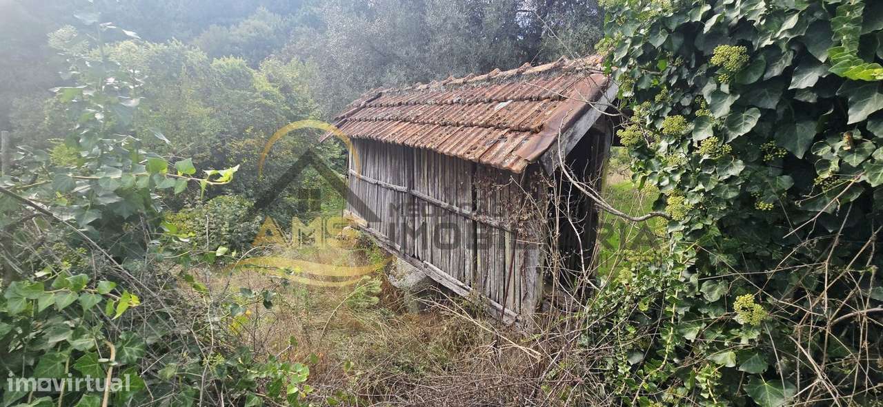 QUINTINHA PARA VENDA - Grande imagem: 4/21