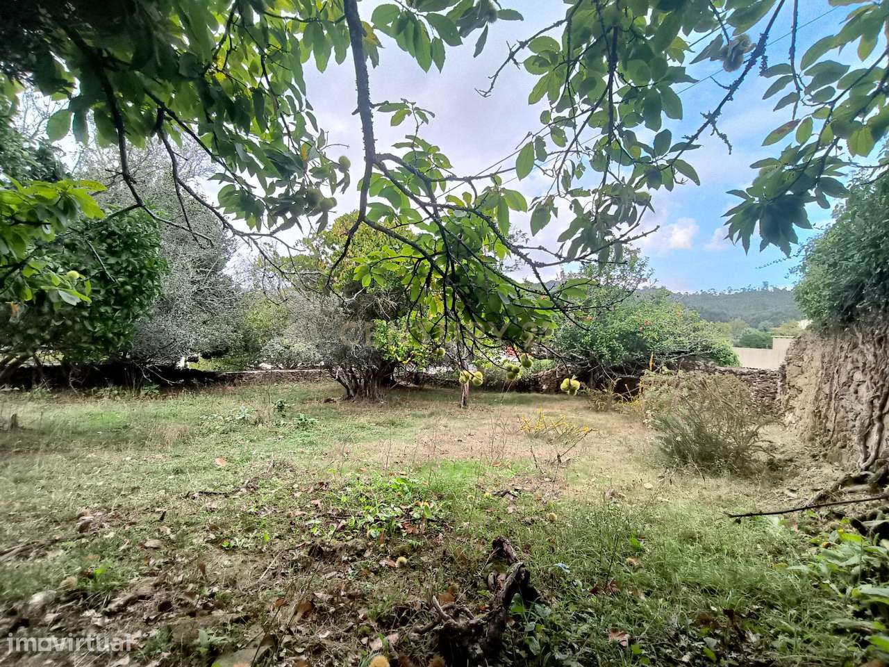 Terreno com Anexo em Samonde,Santa Marta de Portuzelo,Viana do Castelo - Grande imagem: 3/27