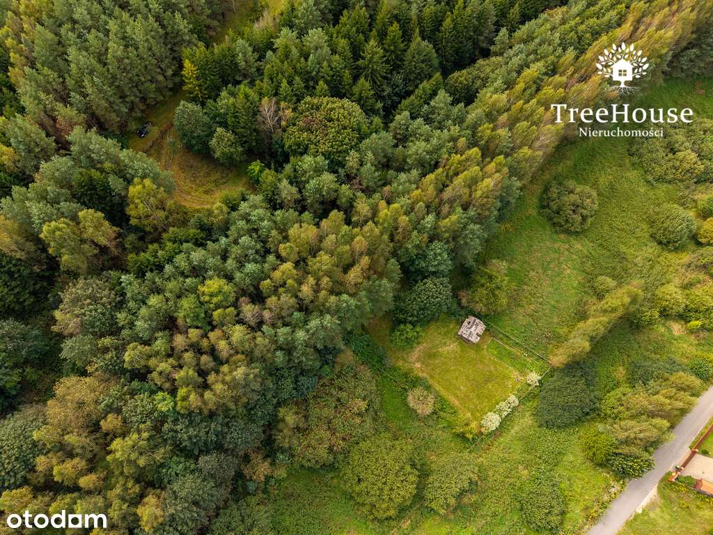 Działka z potencjałem blisko Jeziora Wulpińskiego - Pełny obrazek: 5/15