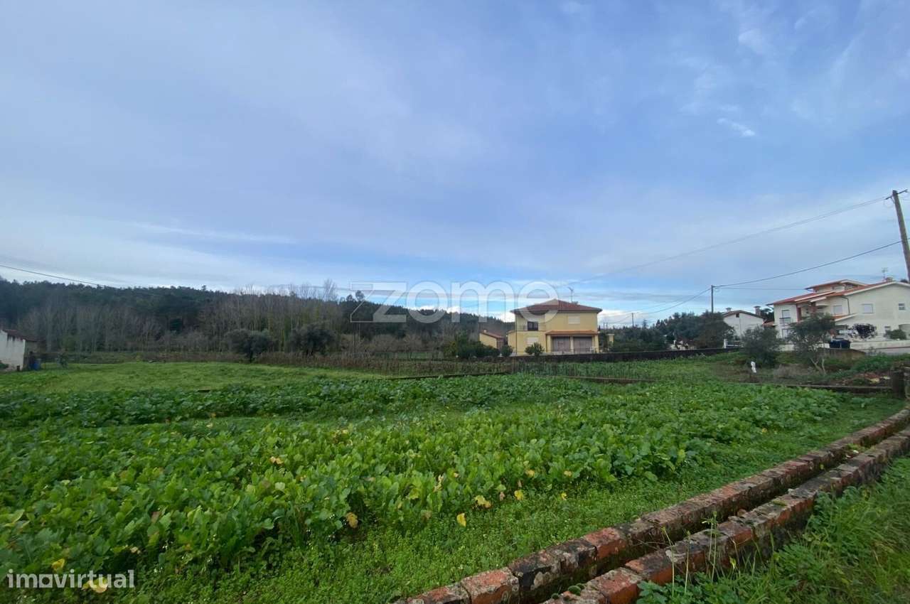 Terreno Urbanizável em Vale de Avim - Moita (Anadia) - Grande imagem: 4/15