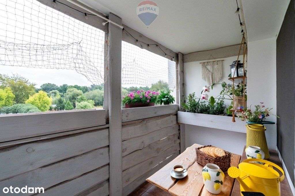 Rezerwacja! Mieszkanie 3 pokoje koło lasku Dębina - Pełny obrazek: 4/17