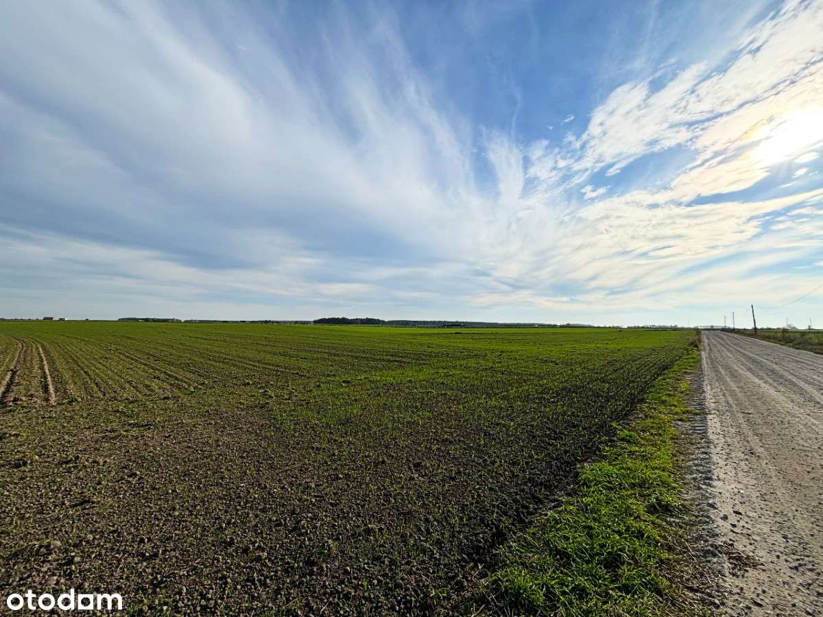 Działka - Czołowo - dla inwestora - Pełny obrazek: 5/9