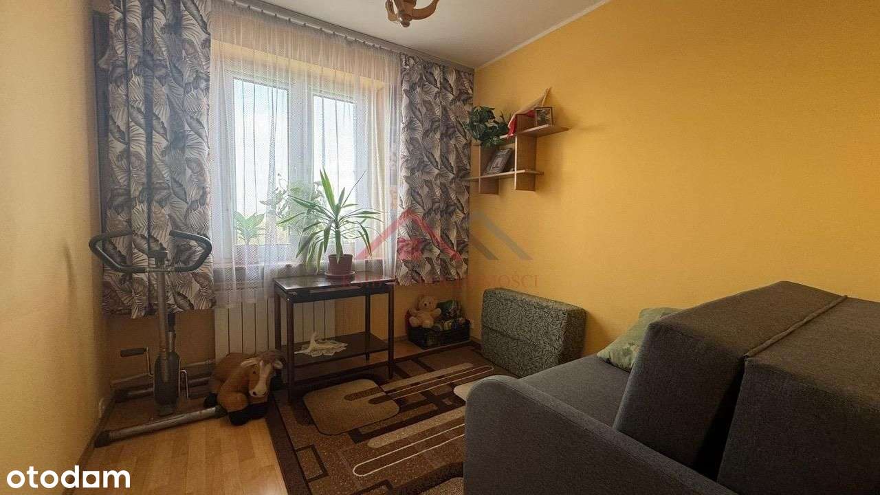 Funkcjonalny układ, oddzielna kuchnia, piwnica, pa - Pełny obrazek: 5/19