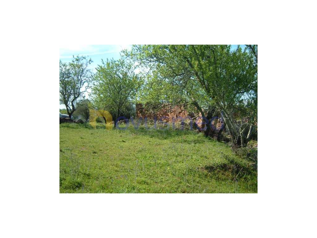 Terreno Rústico com Ruína em São Bartolomeu de Messines - Grande imagem: 2/27