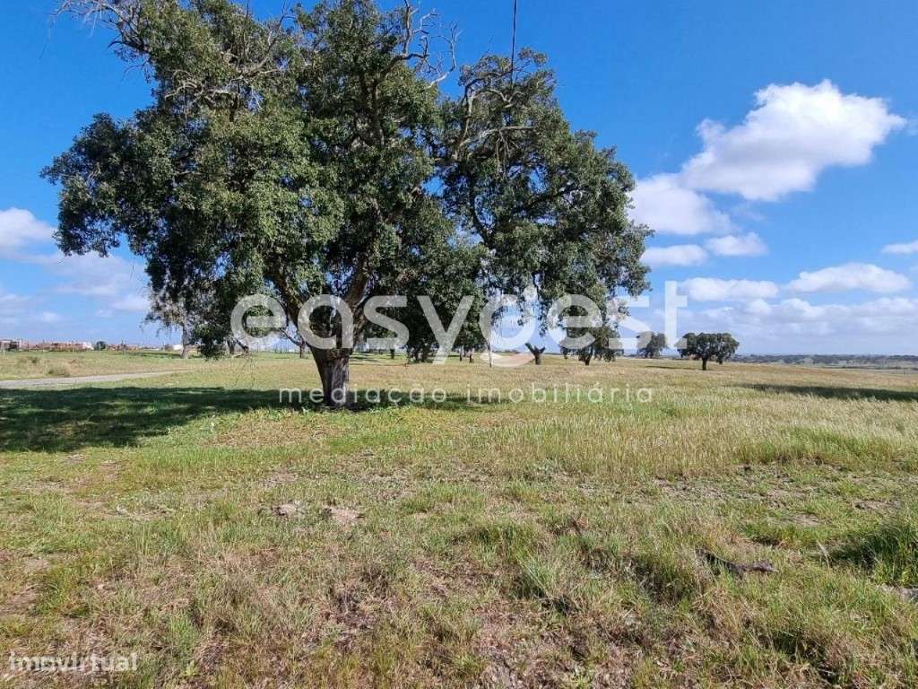 Monte em Ferreira do Alentejo c/ moradia T2 - Beja - Grande imagem: 5/24