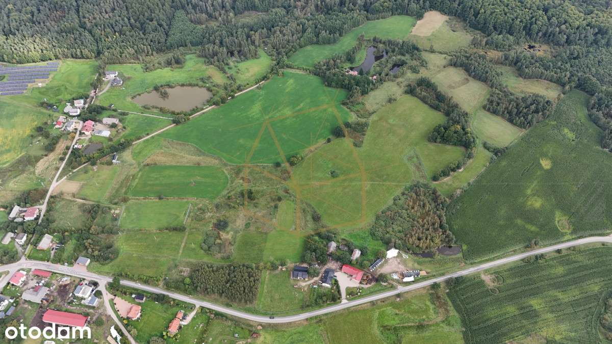 Jezioro/Kameralne Osiedle/ Pod Budowę/ Las/ Kamela-4