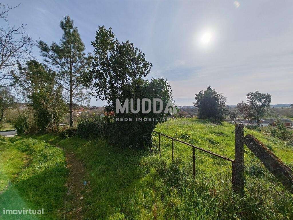 Terreno rústico para construção, em são João de Loure e Frossos, Alber - Grande imagem: 4/6