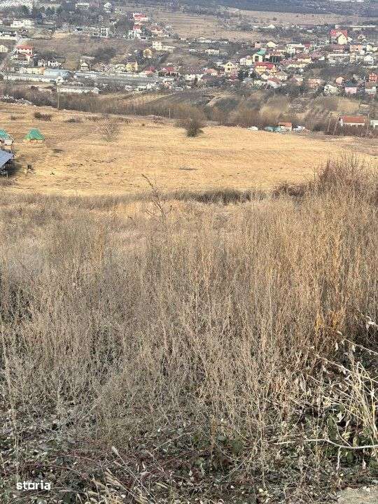 Teren 9.555mp front 28ml constructie ansamblu case Iris - Imagine principală: 2/3