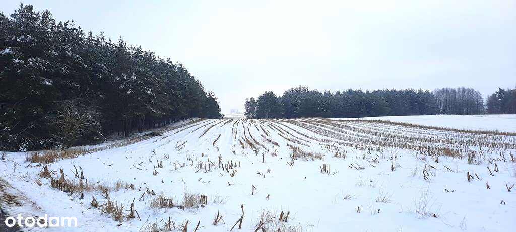 Działka z dala od sąsiadów/Stara Kamionka-0