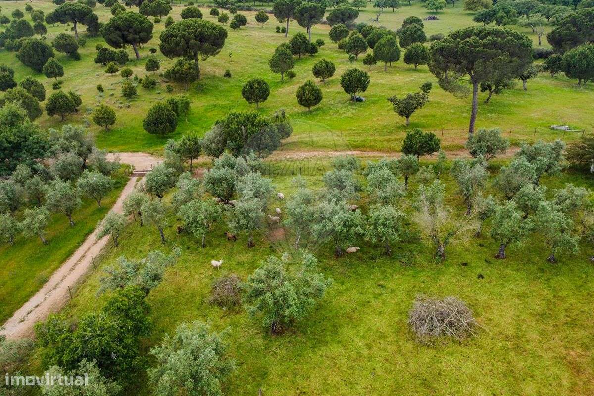 Quinta T8 para venda-22