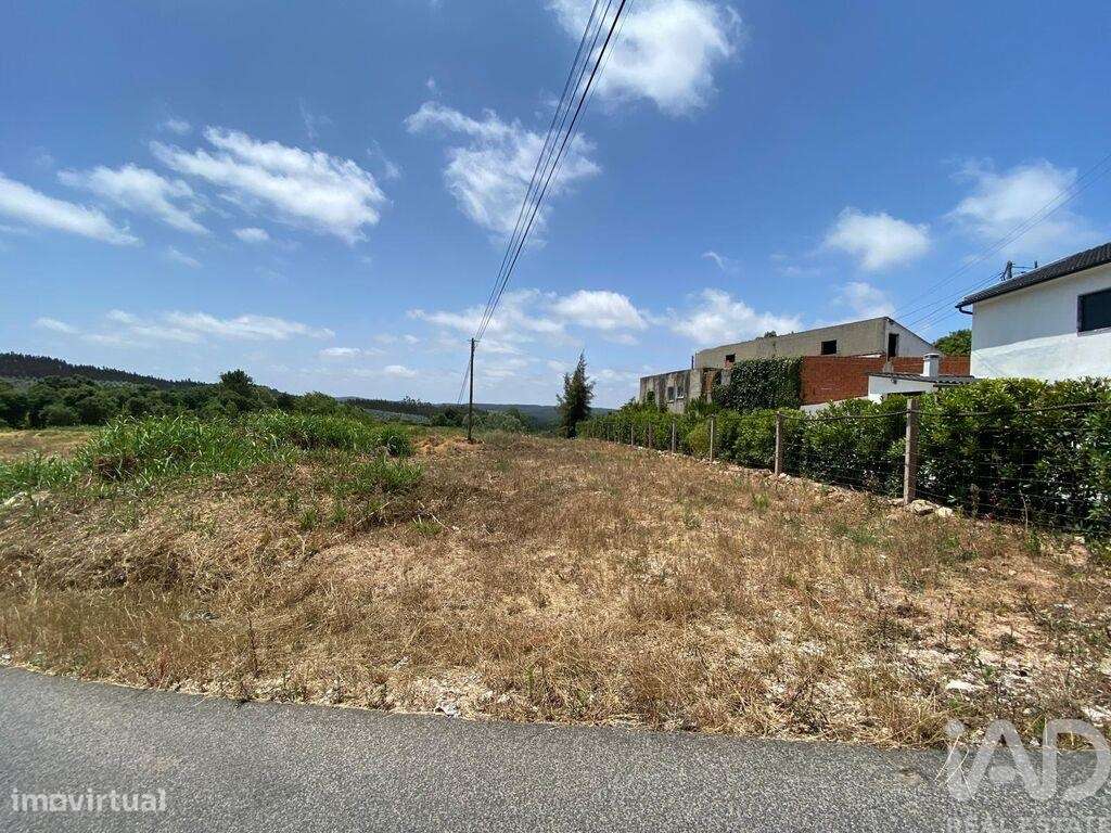 Terreno em Cadaval e Pêro Moniz de 11320,00 m2 - Grande imagem: 4/12