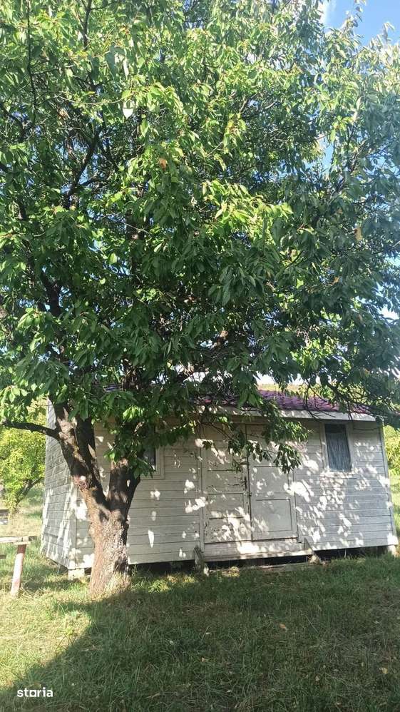 Tren si casa de vacanta in Panticeu - Imagine principală: 5/8