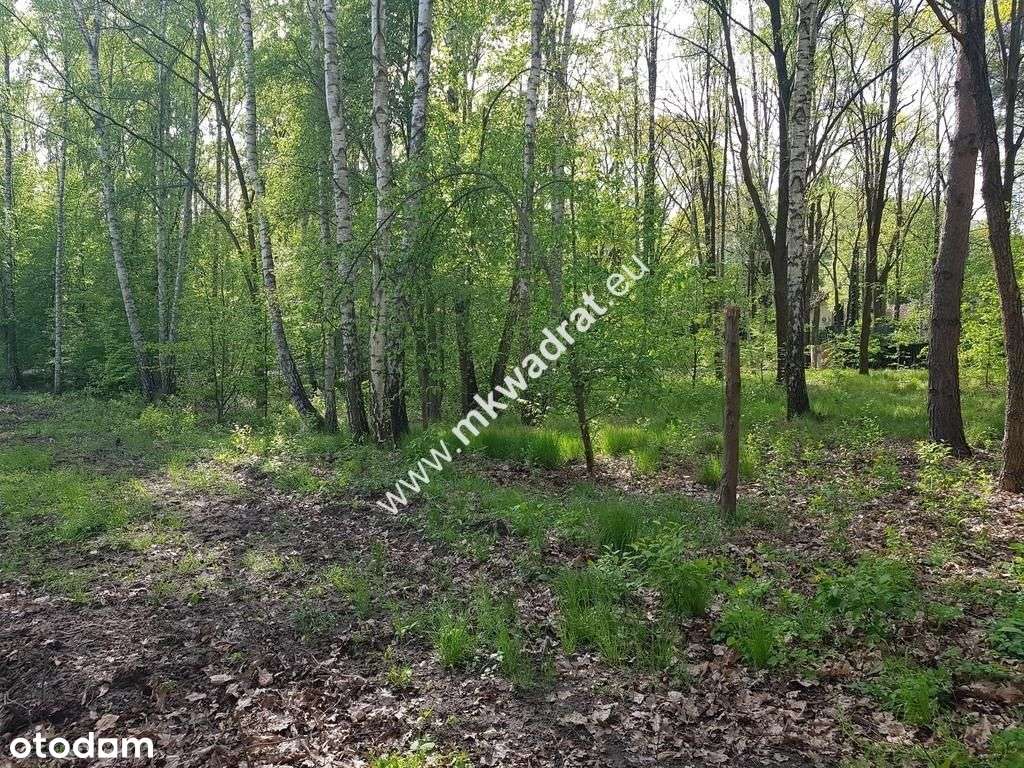 Działka Rolna z możliwością zabudowy - Pełny obrazek: 5/5