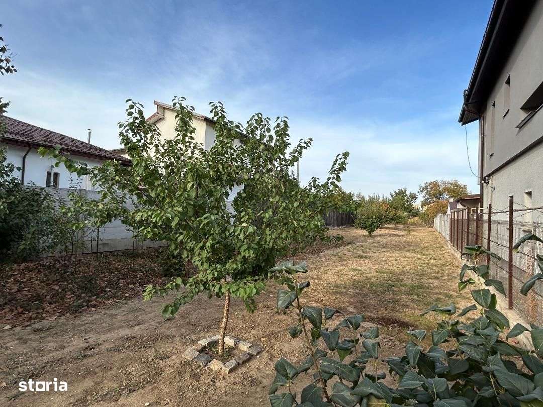 Vanzare teren Clinceni Ilfov-7