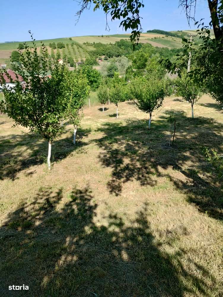 Casă renovată, teren 2300 mp, utilități complete – poziție centrală-6