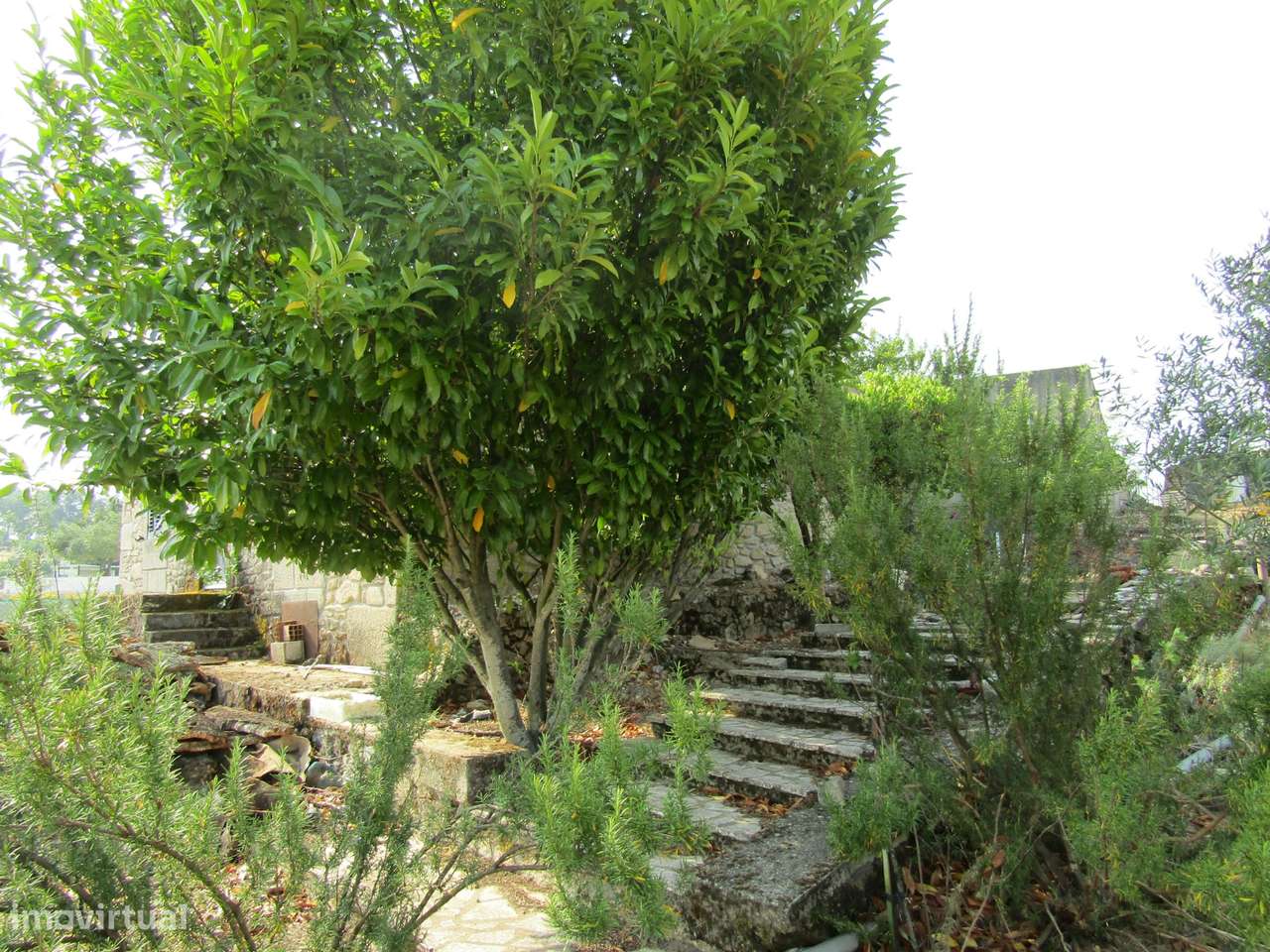 Quintinha em Caçarelhos, Vimioso-21