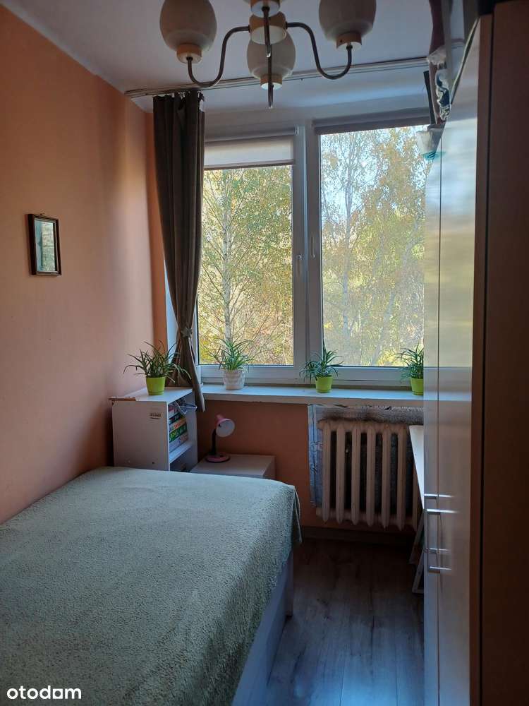 3-pokojowe mieszkanie na Osiedlu Słonecznym. - Pełny obrazek: 4/7