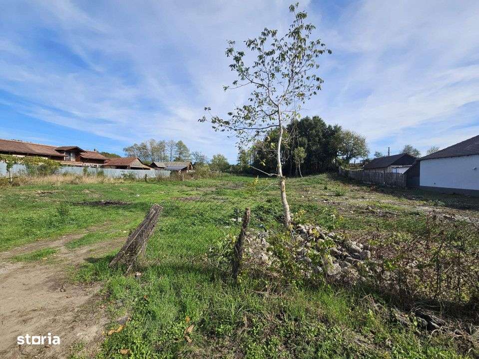 Vanzare teren intravilan suprafata 5.822 mp, in cartier Iezureni - Imagine principală: 2/9