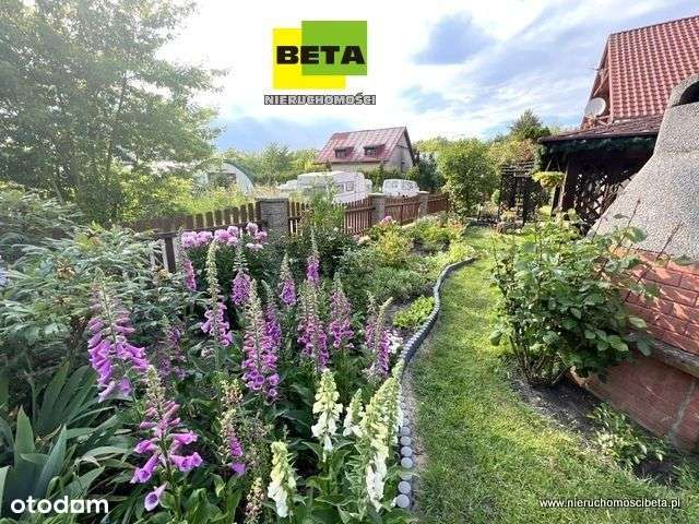 Dom wolnostojący + Zakład przemysłowy - Pełny obrazek: 4/20