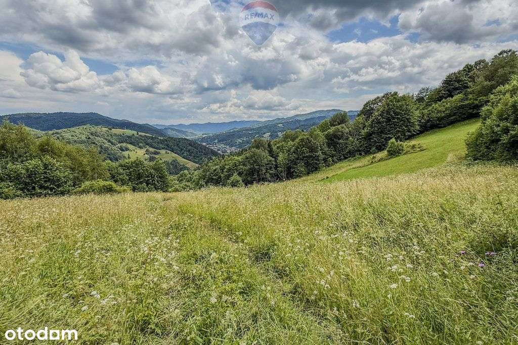 Nieruchomość gruntowa z widokiem na Gorce - Pełny obrazek: 4/6