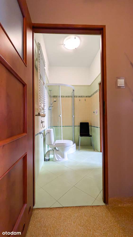 Na sprzedaż duży lokal pod działalność.-11