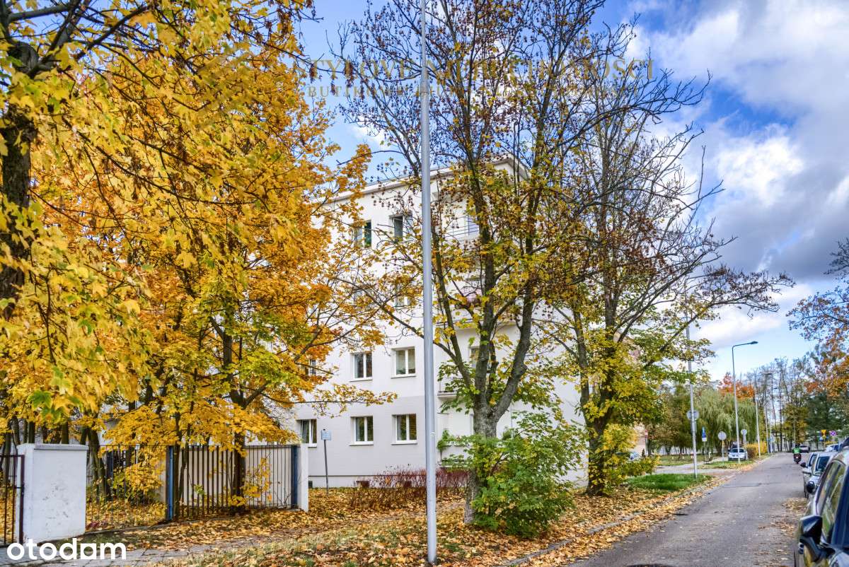 Jasne, wysokie 2 lub 3 pokoje, klimat kamienicy-11