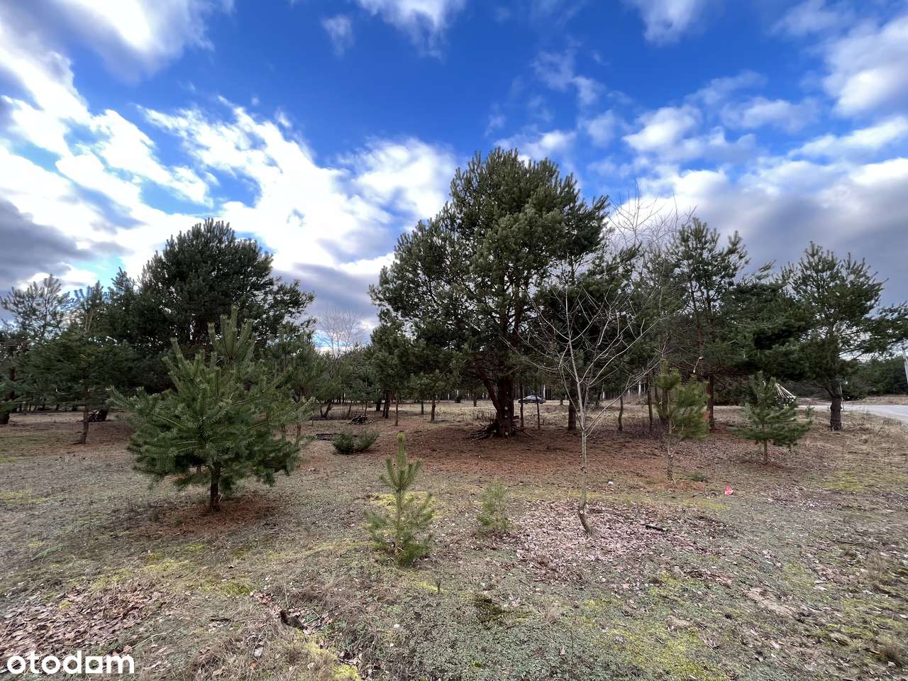 Działki budowlane pośród jezior i lasów-8