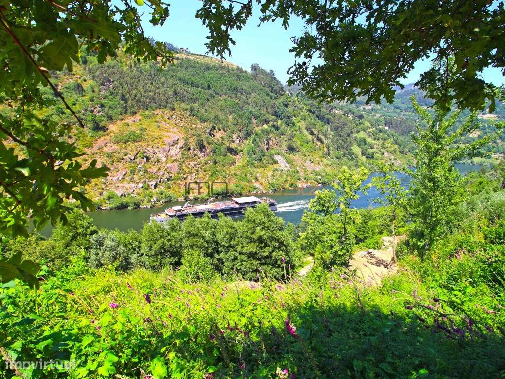 Quinta com frente de Rio Douro-19