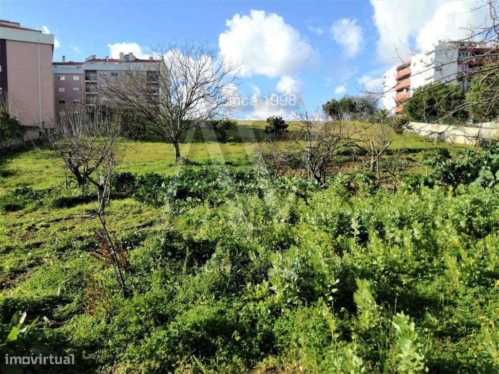 Lote de Terreno para Construção - Calçada do Bravo - Leiria - Grande imagem: 2/8