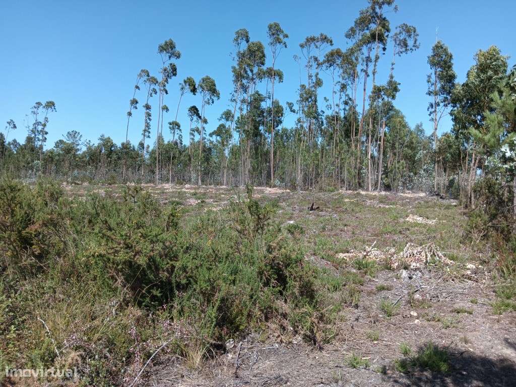 Terreno para construção - Albergaria-a- Velha - Angeja - Grande imagem: 4/9