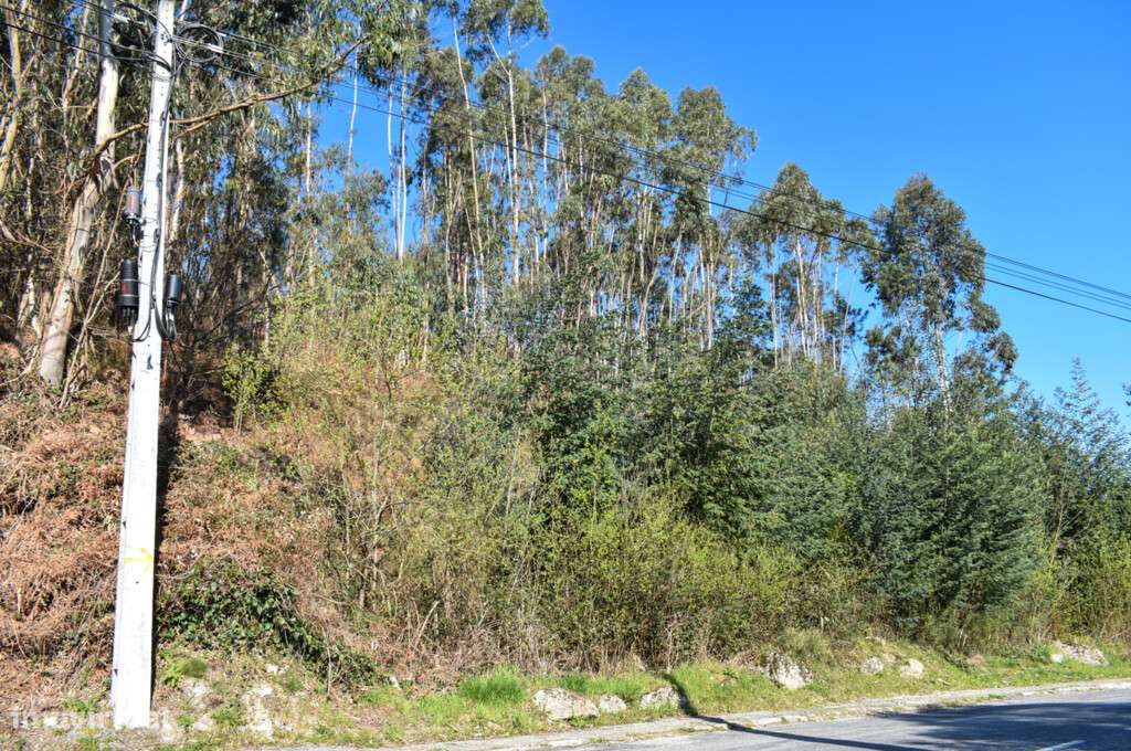 Lote Construção - Vieira do Minho - Grande imagem: 4/9