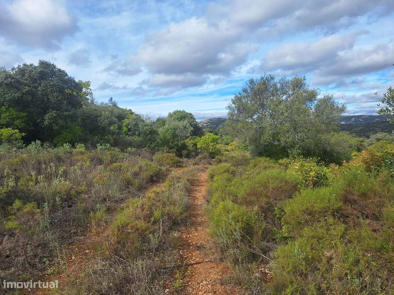 Terreno no Ruína no concelho de Faro-8