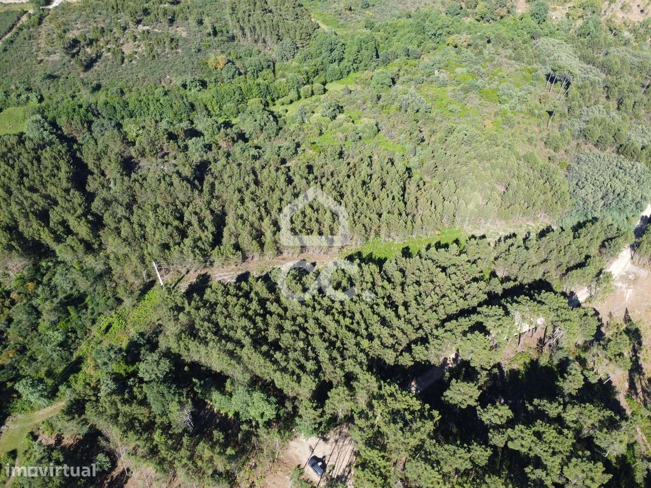 Terreno para investimento com pinheiro em Redondelo - Grande imagem: 5/18
