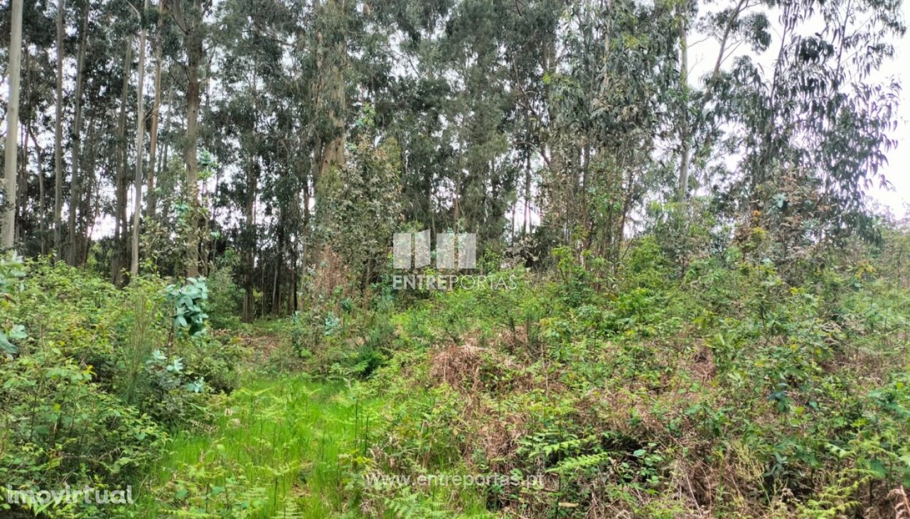 Terreno de construção para venda, Seixas, Caminha